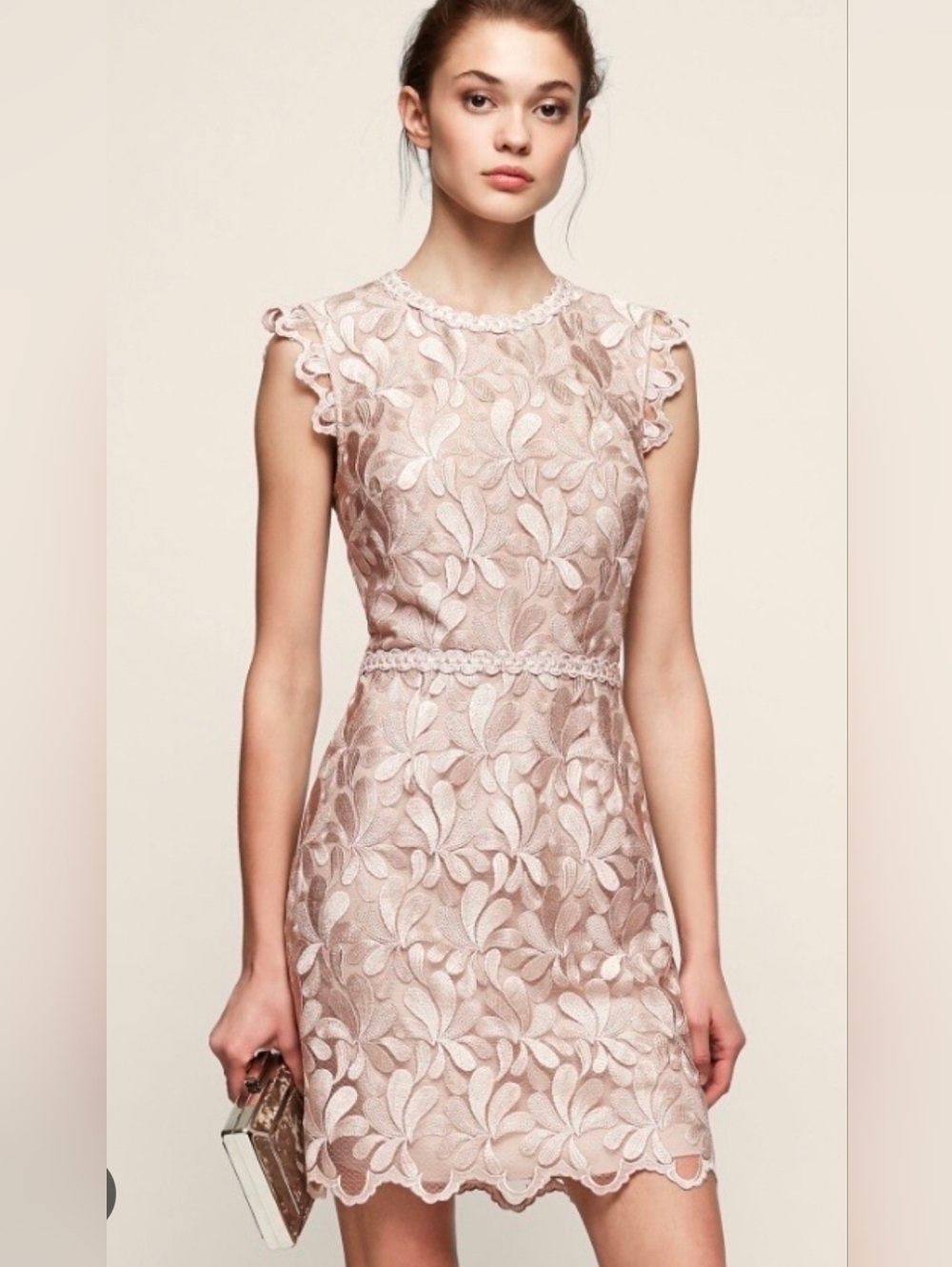 Reiss  Sami Blush Lace Midi Dress with Leaf Appliqué Size 0
